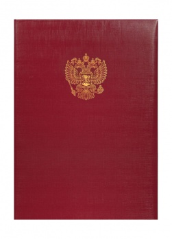 Папка адресная с гербом РФ, бордо, красн., зелен., син. бумвинил 15А007
