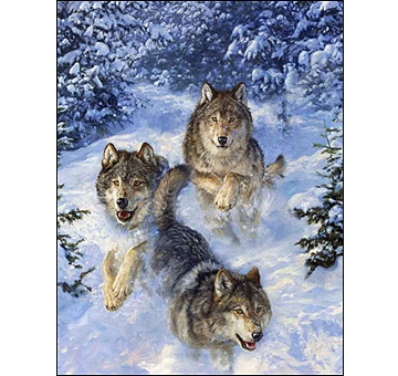 Картина стразами "Волки на охоте" 30*40см  ST-354