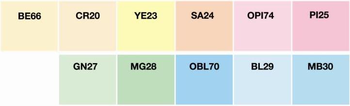 Бумага "M/Color" А4, 80г/м2, 50л. (светло-голубая) pale BL29