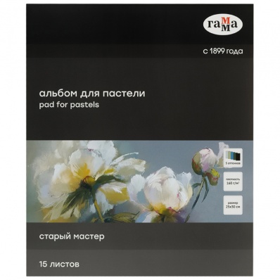 Альбом для пастели, 15л., 250*300мм, на склейке Гамма "Старый Мастер", 160г/м2, ячеистая фактура, 5 цветов, холодные тона