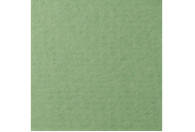 Бумага для пастели "Lana Colours" 42*29,7см, 160г/м2, зеленый сок