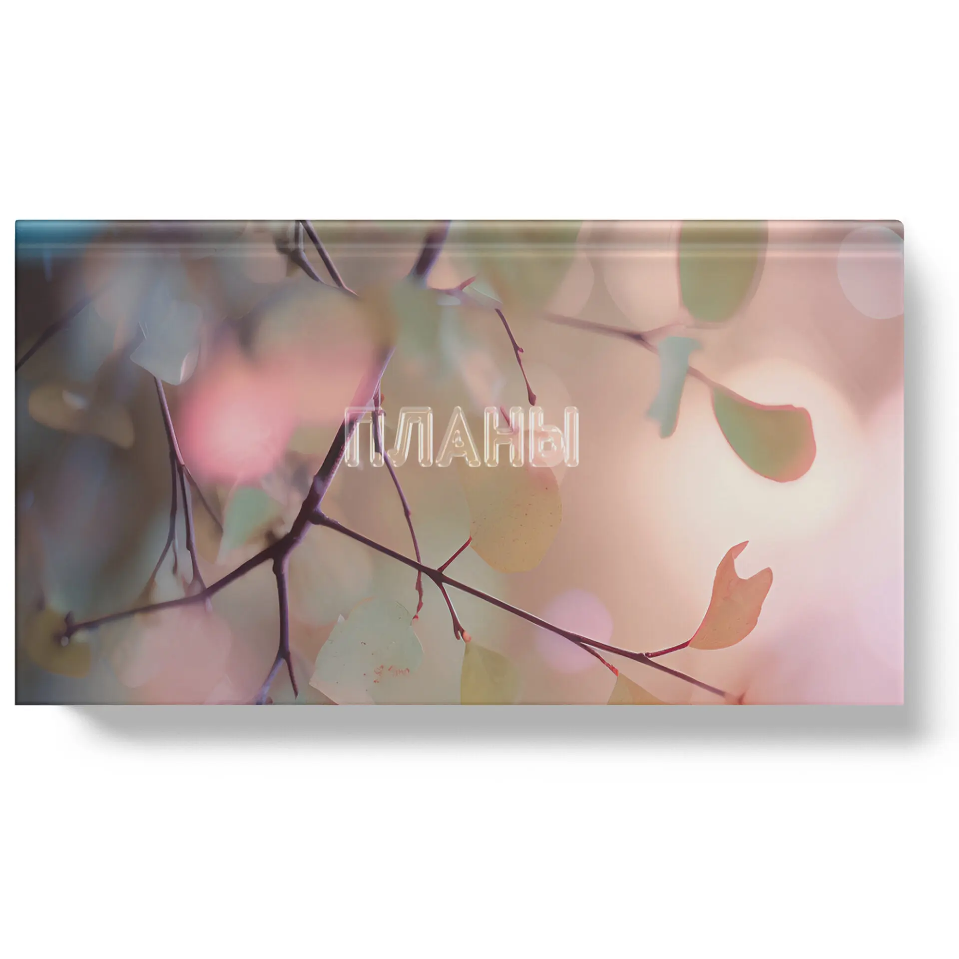 Планинг недатир. карман. 64л. "Поэзия дней", soft touch  ПК2566402