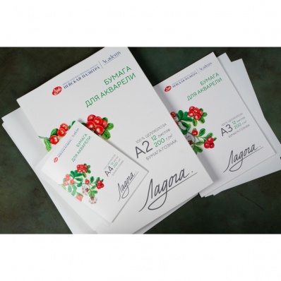 Папка д/акварели А2 "Ладога", 200г/м2, 12л, с/з