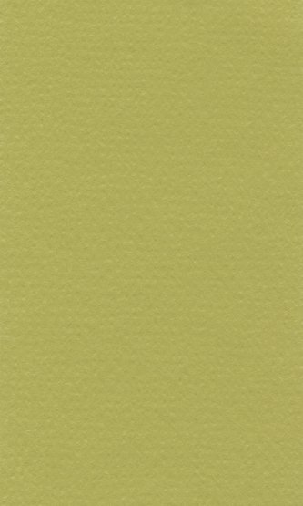Бумага для пастели "Lana Colours" 21*29,7см, 160г/м2, фисташковый