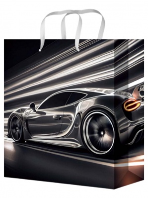 Пакет бум./ламин. 22*31*10см "Дрифт" ППК-2667