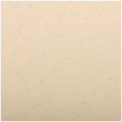 Бумага для пастели, 50*65см Clairefontaine "Ingres, 130г/м2, верже, хлопок, мраморный крем