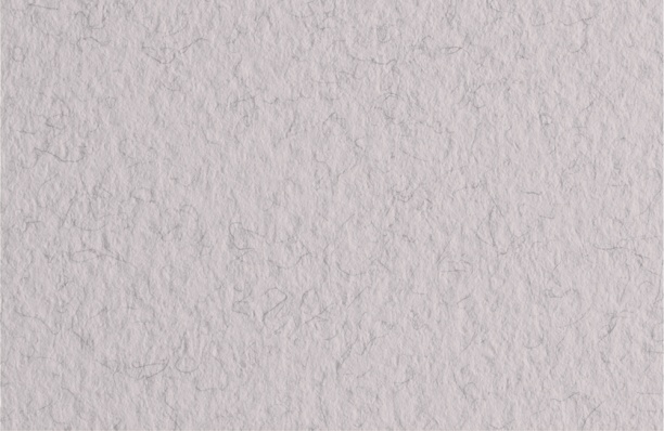 Пастельная бумага А4, Tizifno, лама, 160г/м2