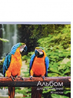 Альбом д/рис. 40л. на скреп. "Попугаи"  А402325