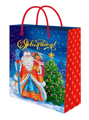 Пакет подарочный 22*31см "Дед Мороз с подарками" глянцевый  ПКП-2335
