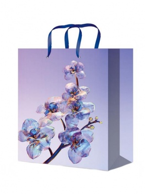 Пакет подарочный 11*14см "Стеклянные цветы" глянцевый  ППК-4307