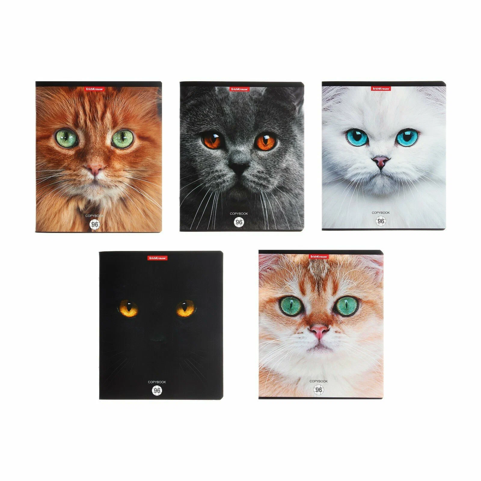 Тетрадь 96л. кл. "Cats" 58406
