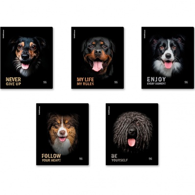 Тетрадь 96л. кл. "Собаки" 59977