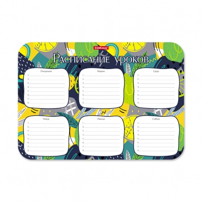 Расписание уроков А4 "Лайм" пластиковое ЕК 55997