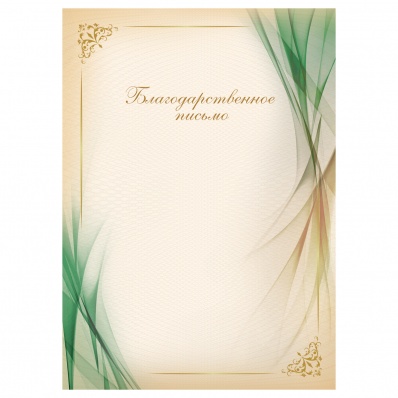 Благодарственное письмо зеленое Б4_06421