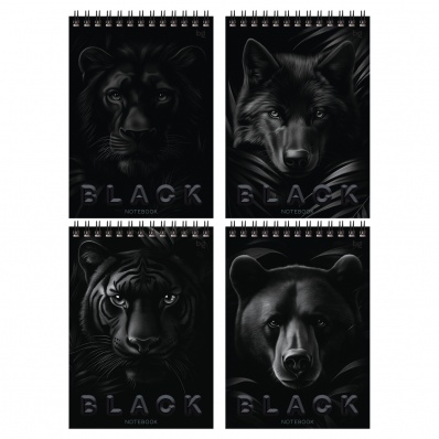 Блокнот А5 40л. кл. на греб. "Просто черный"  Б5гр40 07048