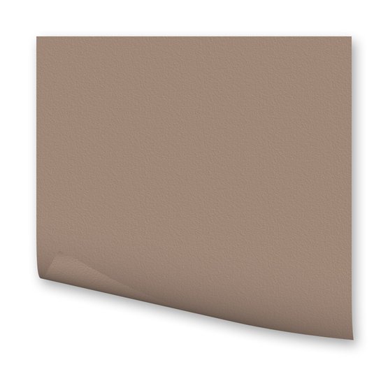 Бумага цвет. FOLIA 300гр/м2, 50*70, капучино